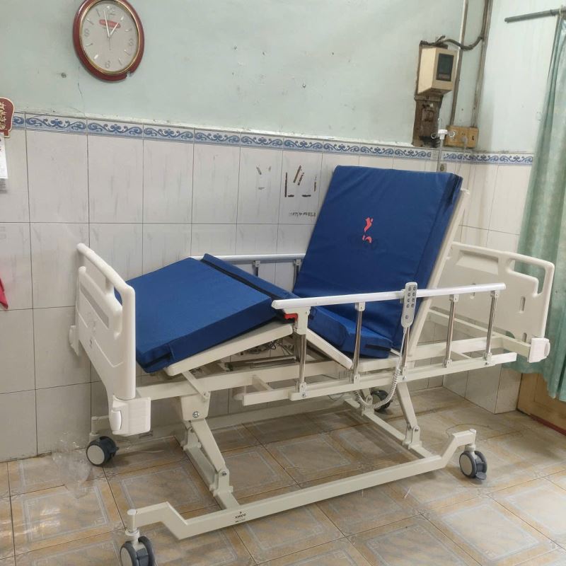 Giường y tế nâng hạ ICHIGO HB-03E