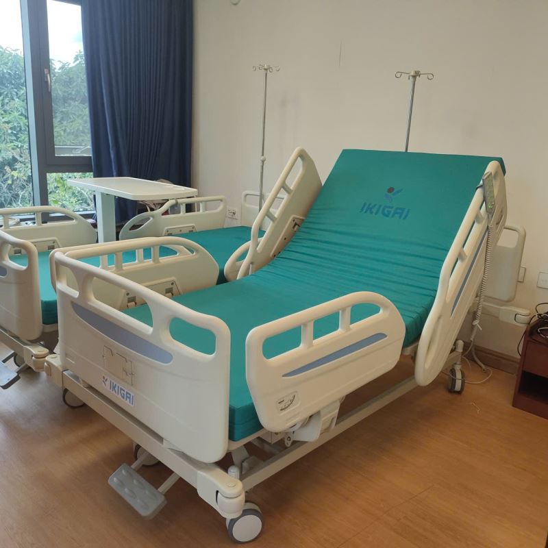 Giường y tế cao cấp ikigai GH-D02-4