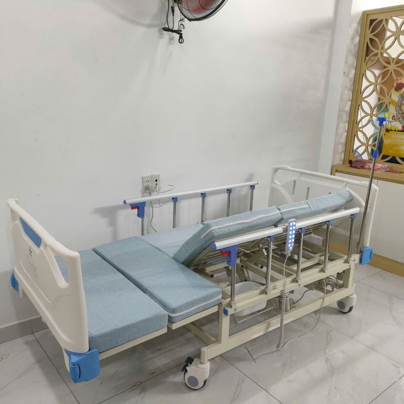 Giường Bệnh Điện Đa Chức Năng Cao Cấp ICHIGO HB-04 New