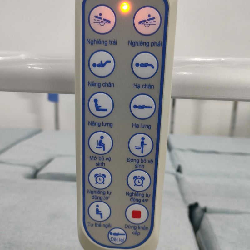 Giường Bệnh Điện Đa Chức Năng Cao Cấp ICHIGO HB-04 New