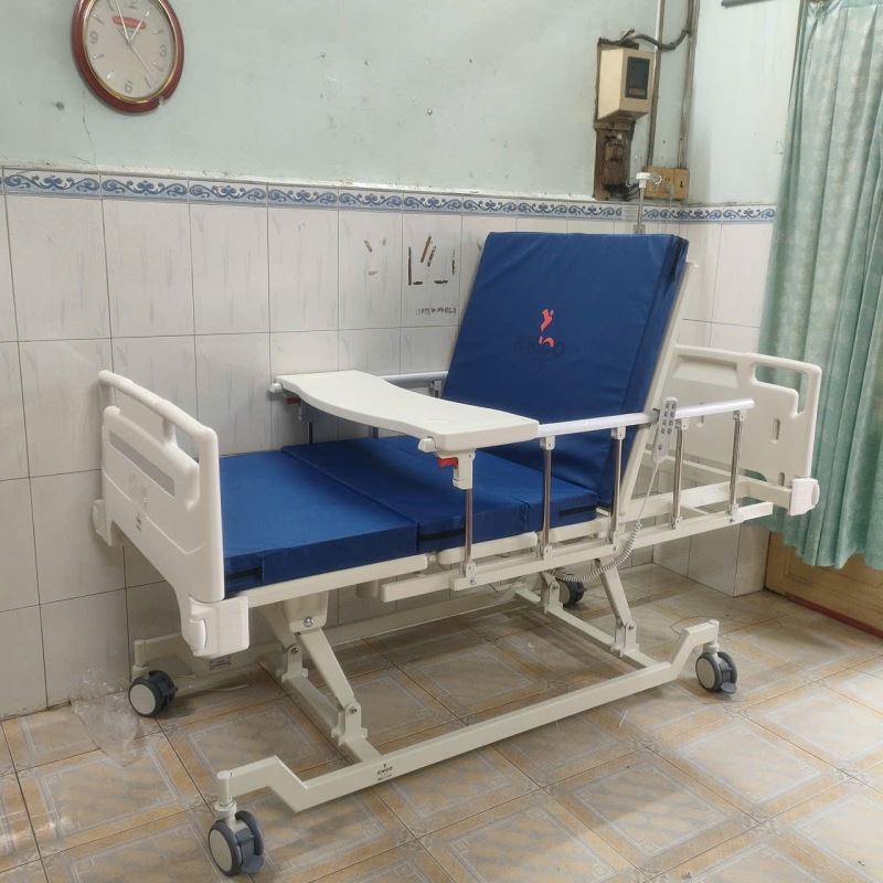 giường y tế cao cấp ICHIGO IG-HB-03E