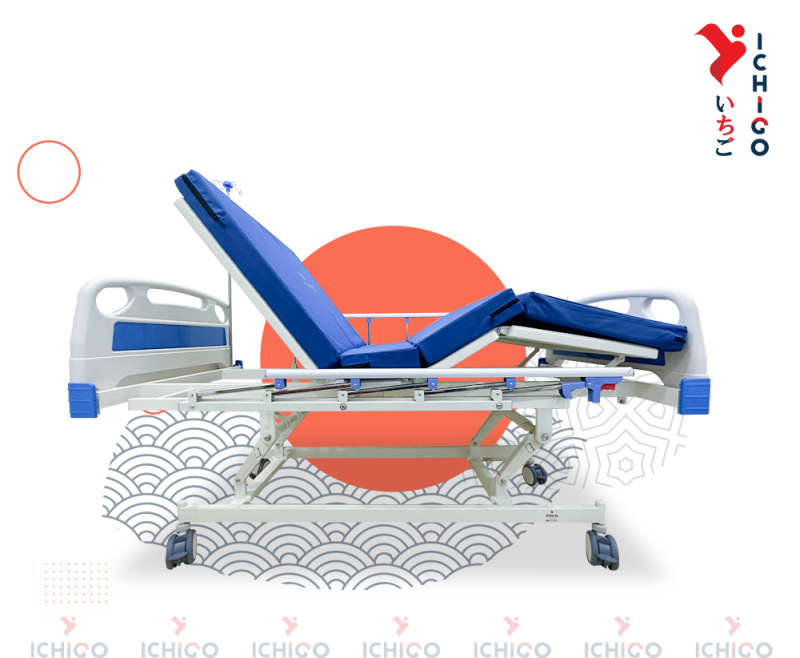 Giường Bệnh 3 Tay Quay ICHIGO IG-HB03